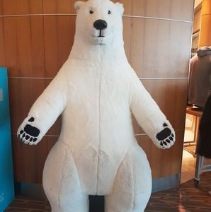 Meet your Posher, Tracy